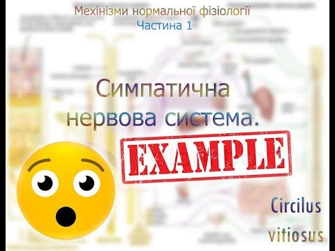 Симпатична нервова система.Розбір прикладу(частина 1) смотреть онлайн