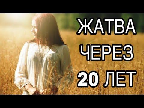 РЕАЛЬНАЯ ИСТОРИЯ СЕЯНИЕ И ЖАТВА смотреть онлайн