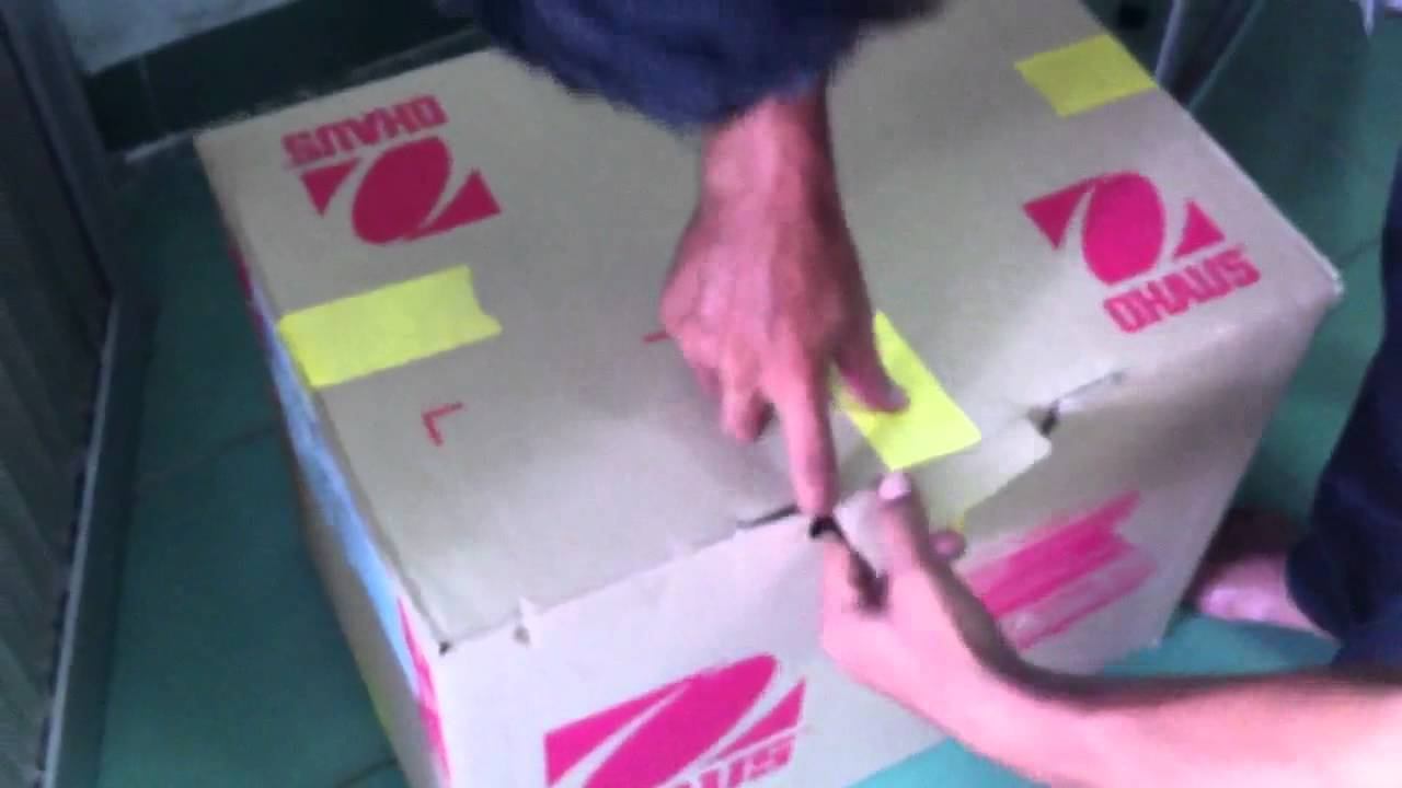 Can say am Ohaus mb45 смотреть онлайн