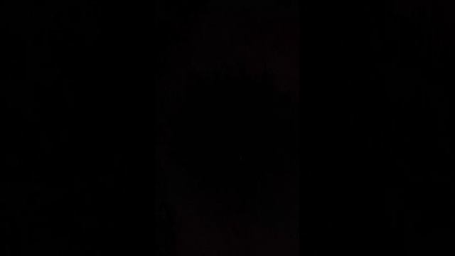 история Барсика смотреть онлайн