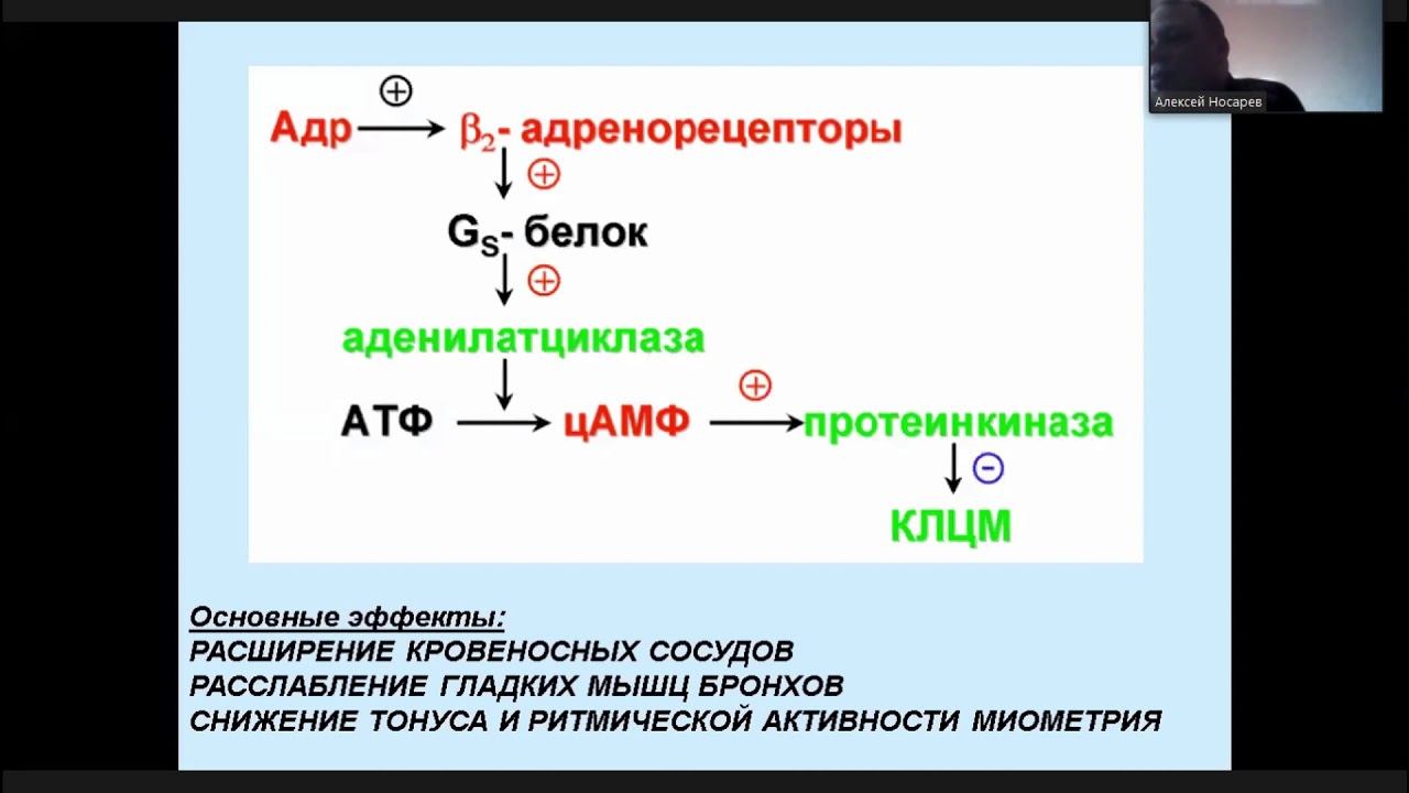 бф12 1 смотреть онлайн