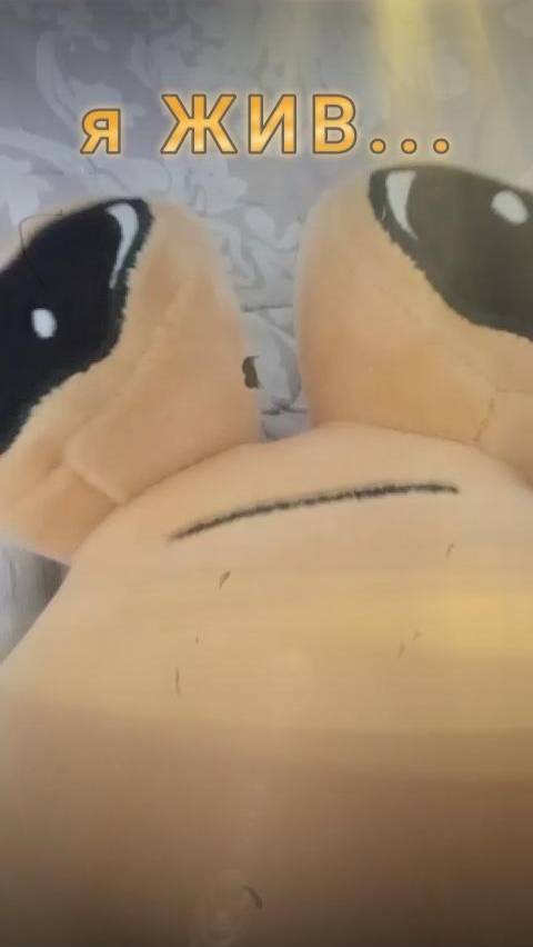 МИР или СМЕРТЬ - 1 серия