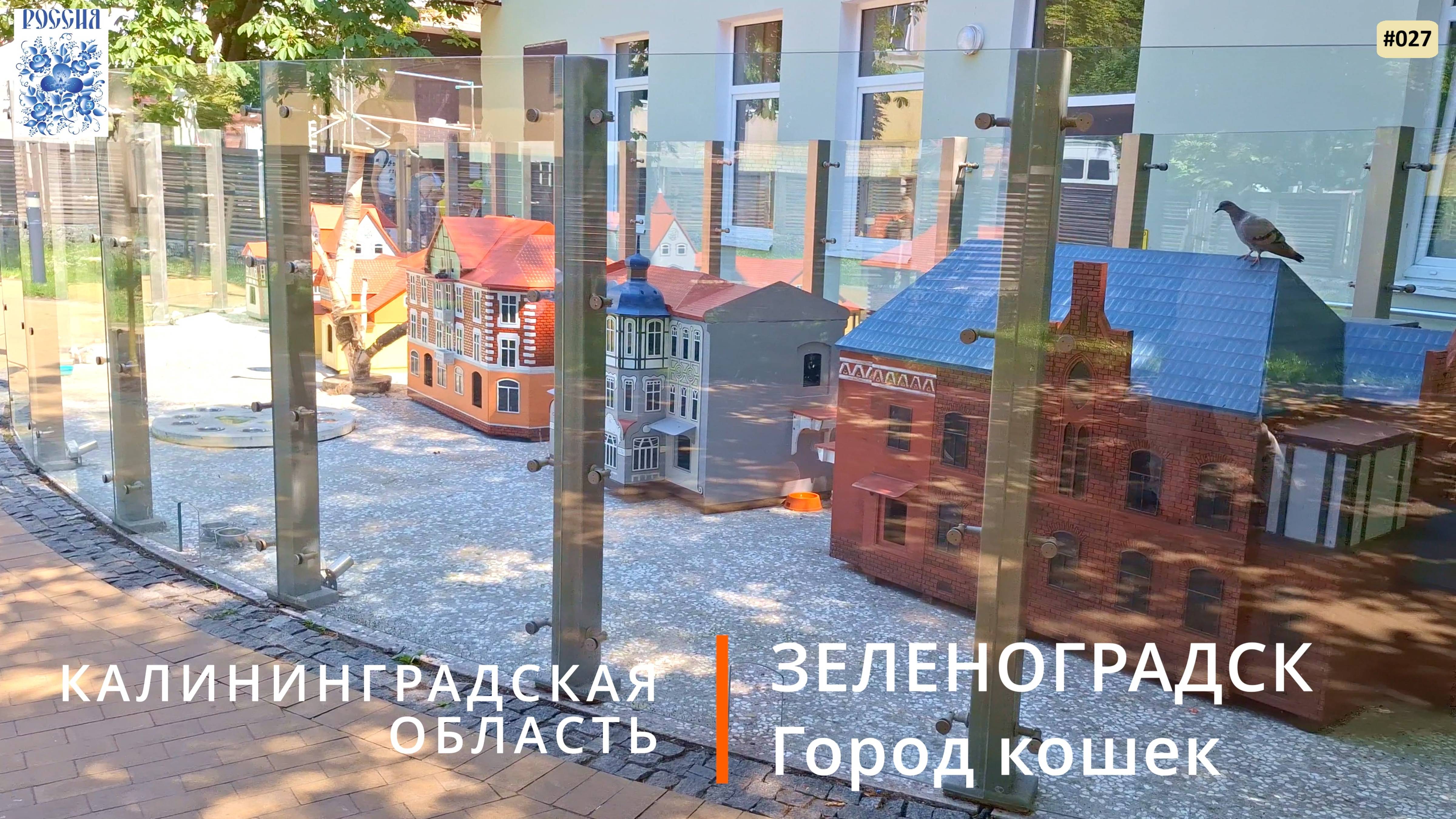 Зеленоградск (Калининградская область). Мурариум, набережная и не только смотреть онлайн