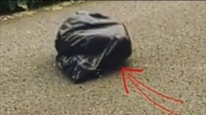 Девушку привлёк внимание мешок который шевелился