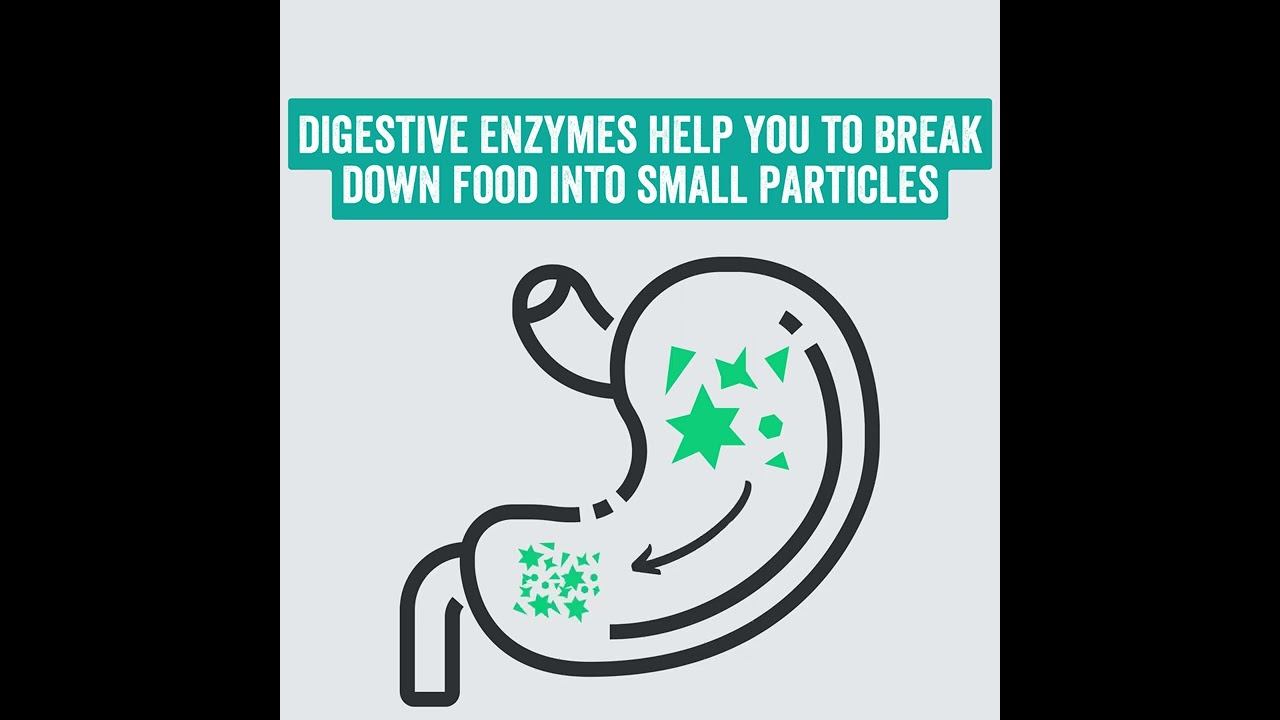 Buy Digestive Enzymes смотреть онлайн