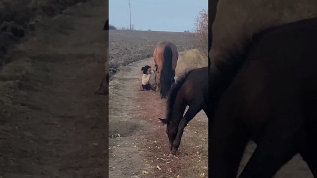 соло тащит 😁