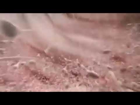 SubhanAllah Homilaning Paydo Bo‘lishi 3d Ko‘rinishda