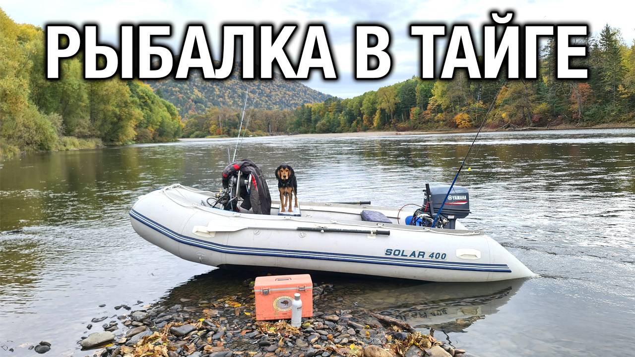 Рыбалка в тайге 2021 смотреть онлайн