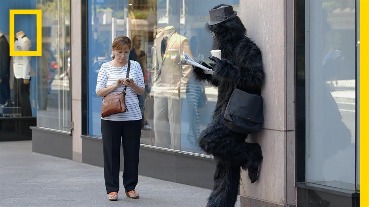 Walking While Texting | Crowd Control смотреть онлайн