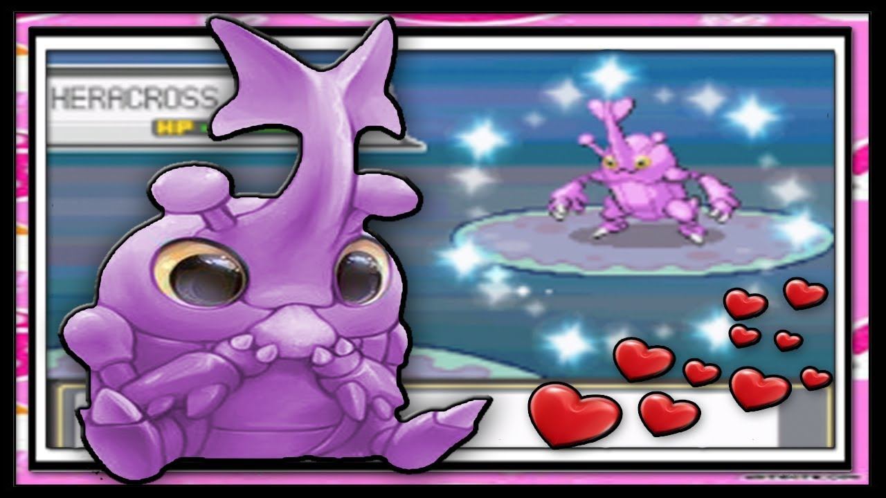 (WSHC #2) Live! Shiny Heracross After 5,020 HE's (BQ #6) смотреть онлайн