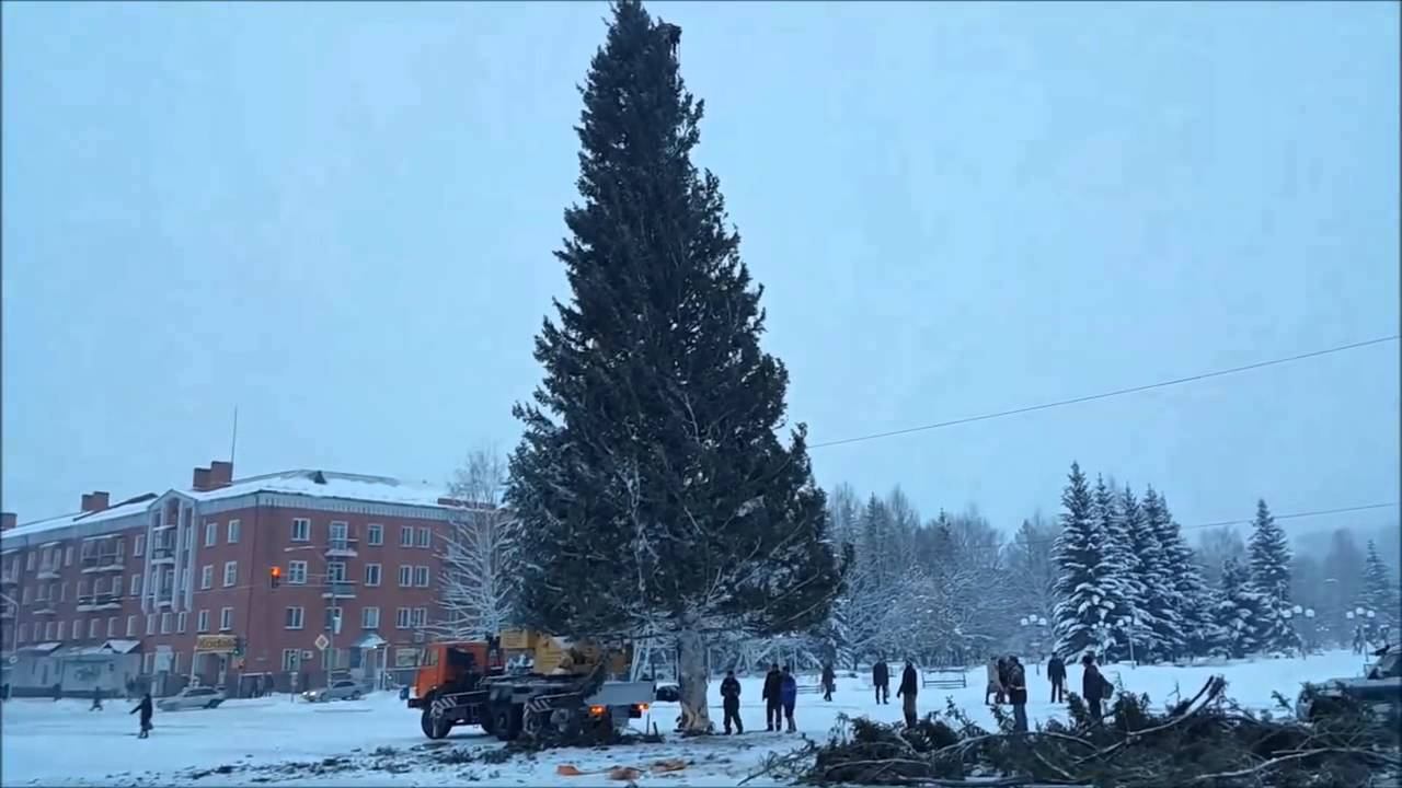 Монтаж елки 16 ноября 2015 года смотреть онлайн