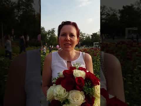 Елена Ульева. Сказки от слёзок смотреть онлайн