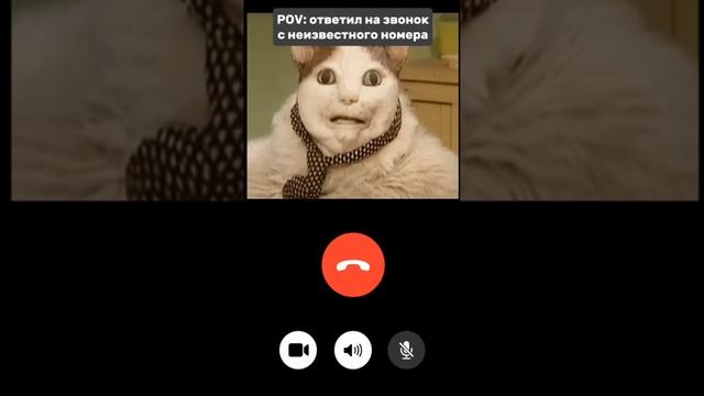 "безопасный" счёт. ПРИМЕРНО ему переводят люди. А потом, - "суп с котом". смотреть онлайн