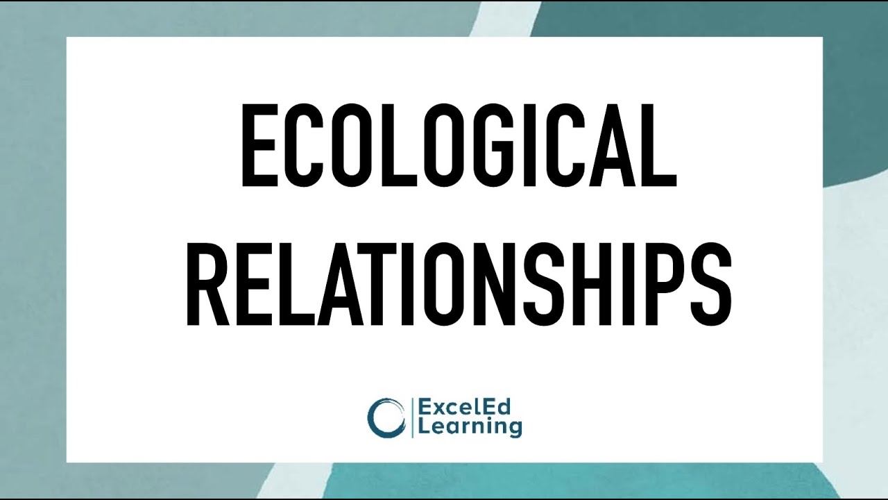 Ecological Relationships! смотреть онлайн