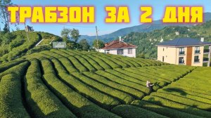 Трабзон на два дня