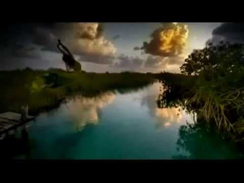 ***Омар Хайям Мудрости жизни*** 1 смотреть онлайн