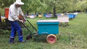Самодельная пасечная тележка.