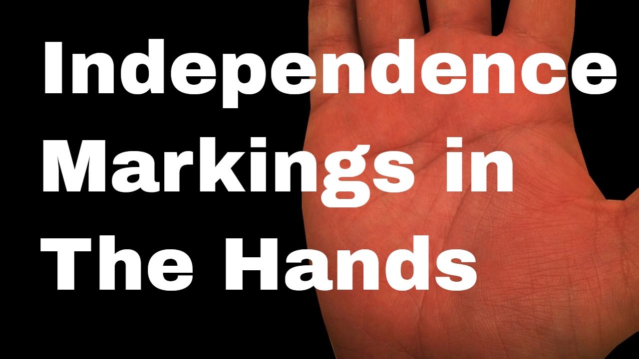 INDEPENDENCE MARKINGS: Palm Reading Palmistry #81 смотреть онлайн