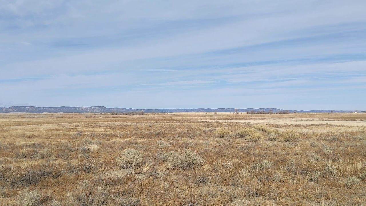 Ultimate Bird Solitude at Maxwell National Wildlife Refuge смотреть онлайн
