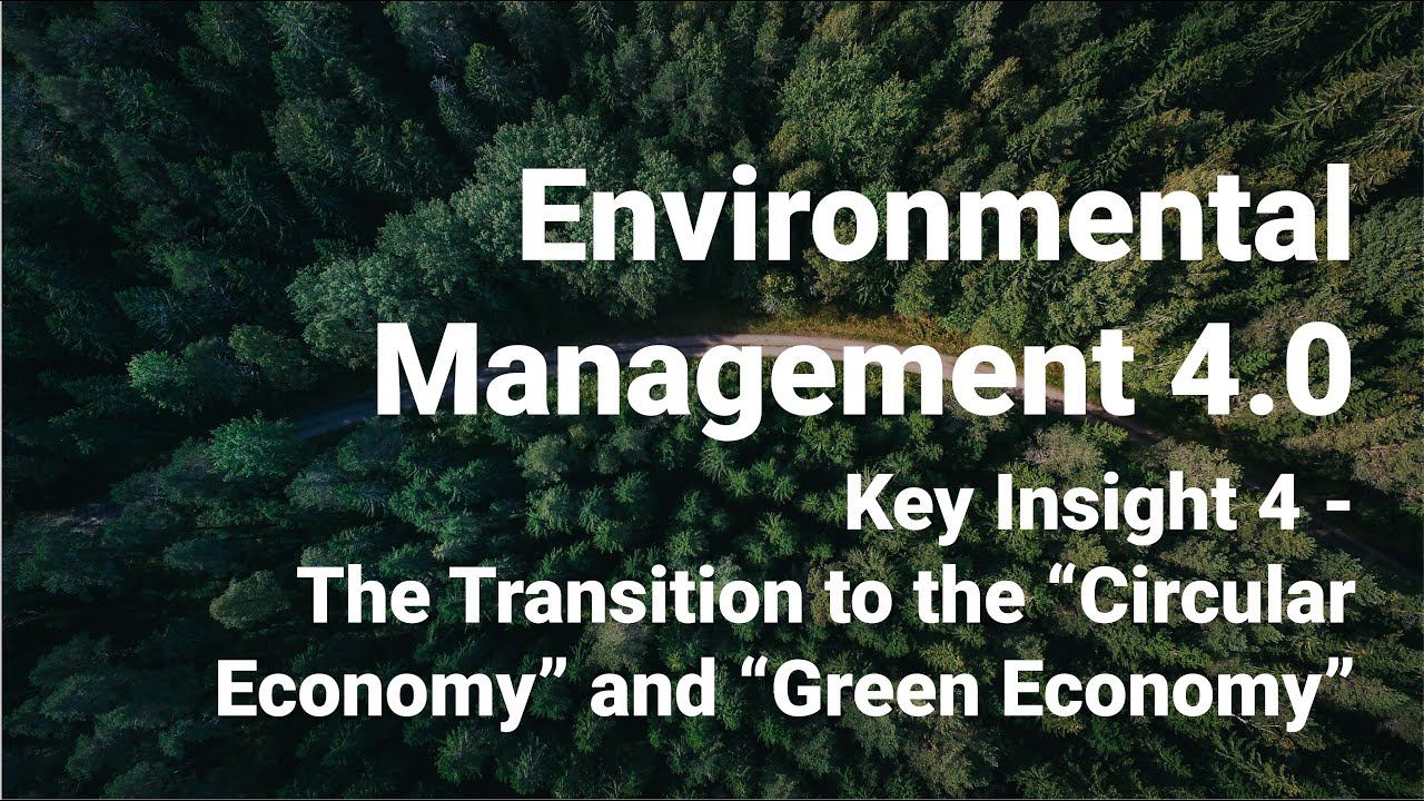 Key Insight 4 - The Transition to the "Circular Economy" and "Green Economy" - Env. Mgmt. 4.0 смотреть онлайн