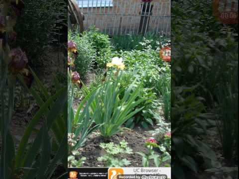 Продолжение игры "найди кошку" смотреть онлайн