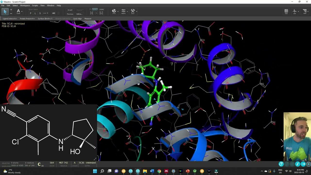 Designing Selective Androgen Receptor Modulators (SARMs) - Part 1 смотреть онлайн