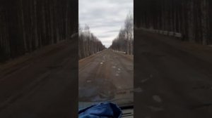 В стиле Сектор Газа, Шоферисты