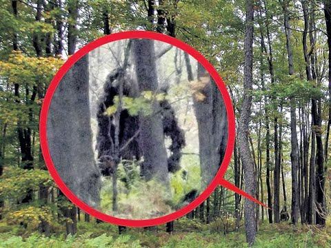 Бу ходиса бутун инсониятни хайратга солди смотреть онлайн