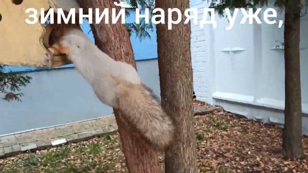 #БЕЛКАРЯЗАНЬ смотреть онлайн