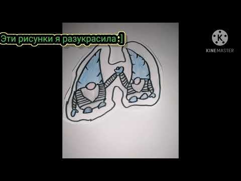 Рисунки которые я разукрасила :] ✨💞 смотреть онлайн