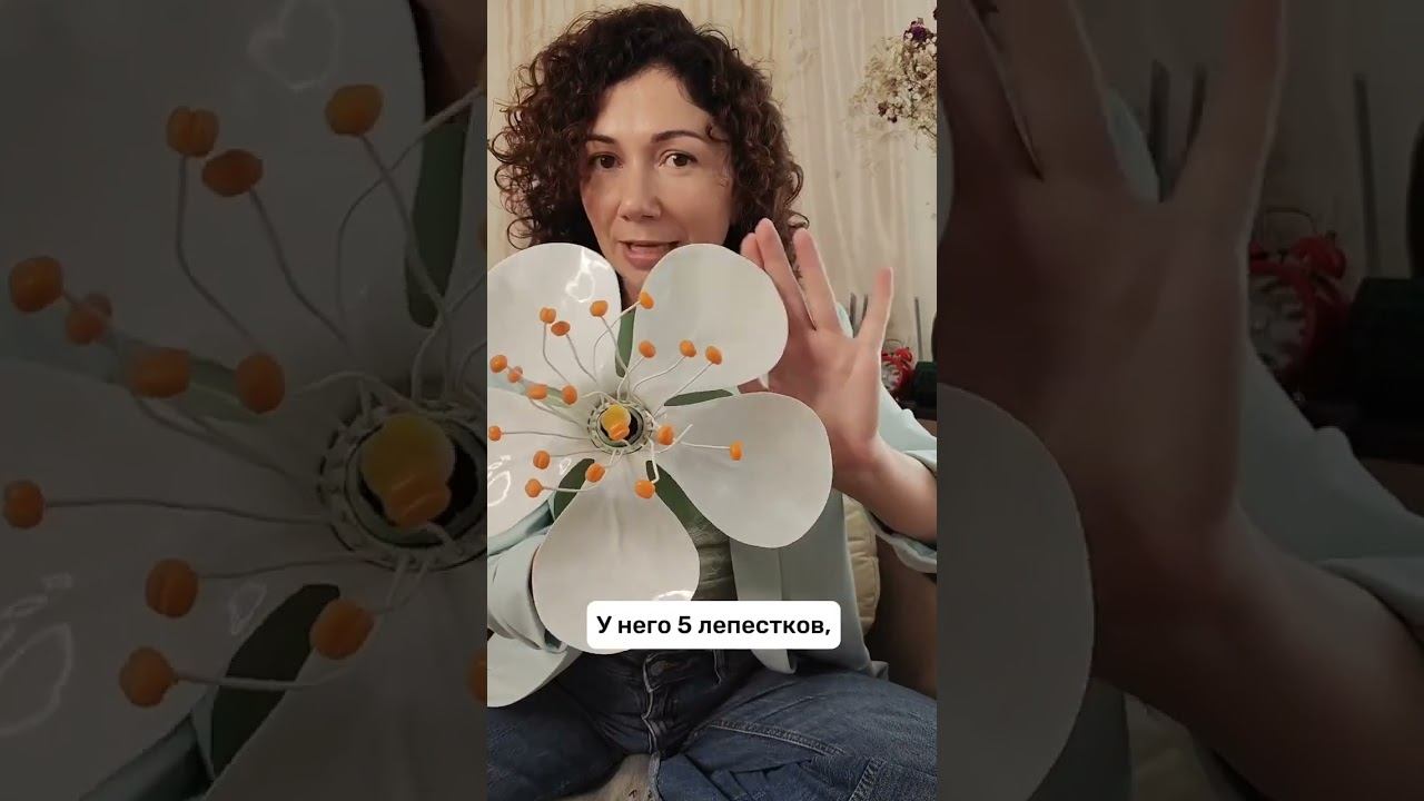 Угадай, что за цветок у меня в руках? Пиши ответ в комментариях! #ботаника #биология #егэпобиологии смотреть онлайн