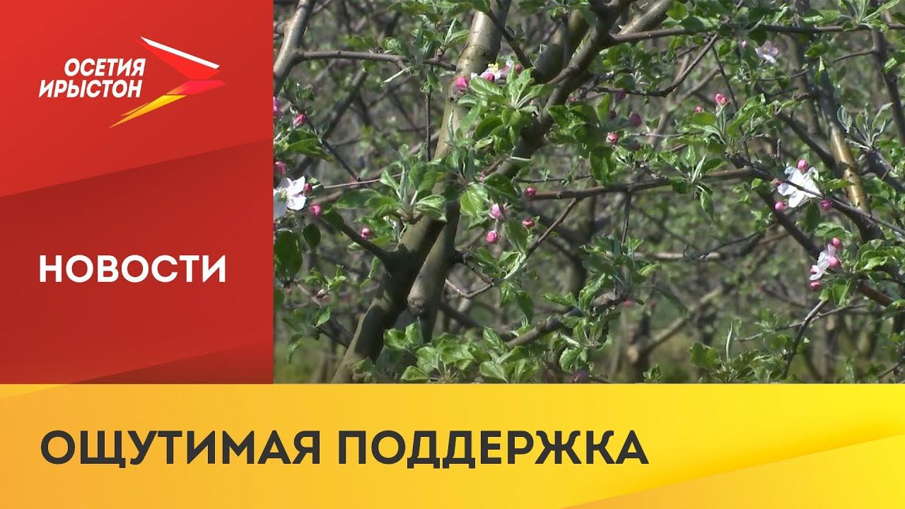 В России будут поддерживать бизнес, готовый работать в агропромышленном комплексе смотреть онлайн