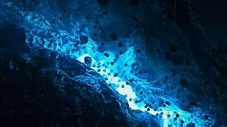 Новый формат