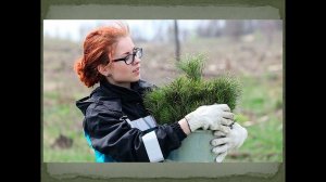 Профессии биогеограф и геоэколог