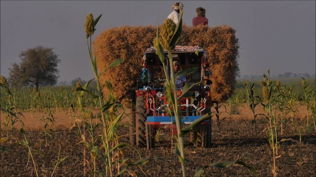 Deccan Conservation Foundation смотреть онлайн
