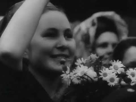 The Whaling Flotilla