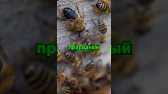 Жми 👆🏻 Откройте для себя тайны внутреннего мира! #тайна #поисксмысла #саморазвитие смотреть онлайн