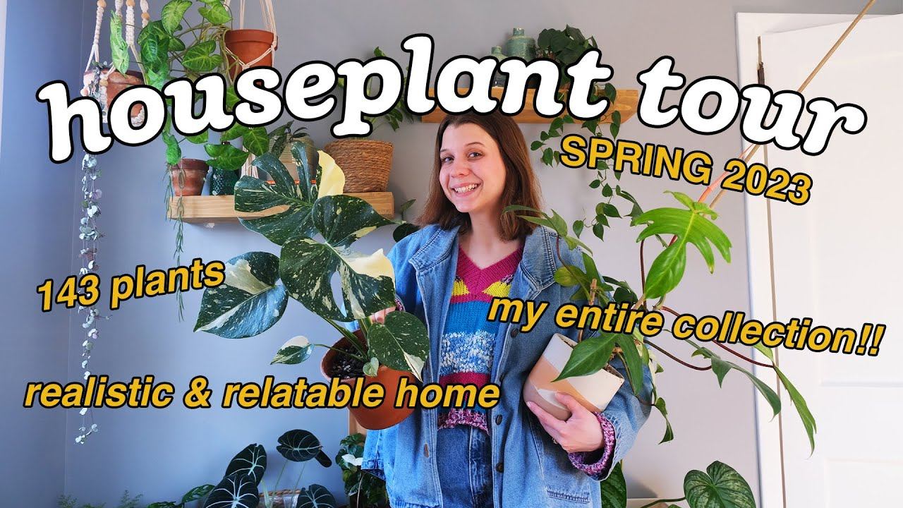 HOUSEPLANT TOUR!! | my ENTIRE houseplant collection | spring 2023 смотреть онлайн