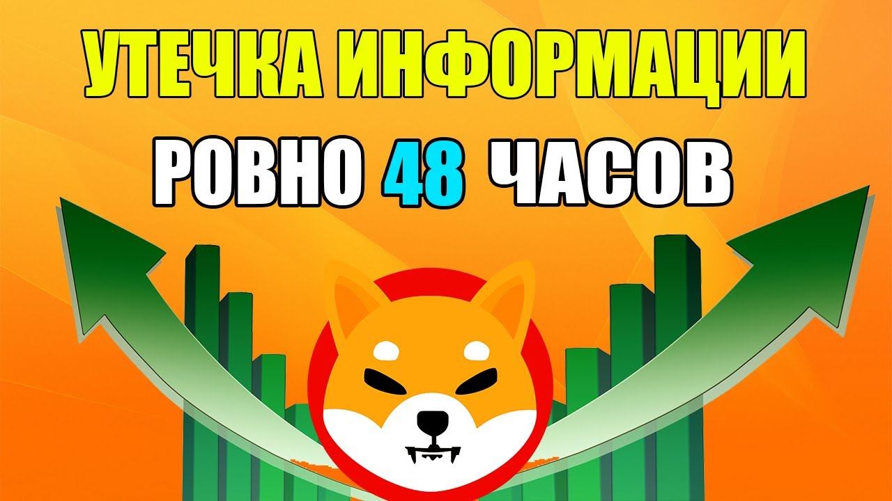 ГЕН. ДИРЕКТОР SHIBA | СЕКРЕТНАЯ ПРИЧИНА ПАМПА SHIBA ЗА 48 ЧАСОВ!!! - ОБЪЯСНИЛ смотреть онлайн