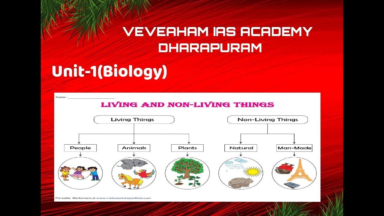 21.11.2020 - TNPSC - Biology Class смотреть онлайн