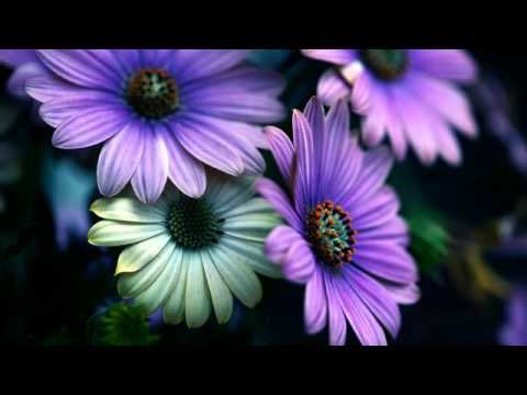 Топ лучших русских новинок и фото онлайн смотреть онлайн