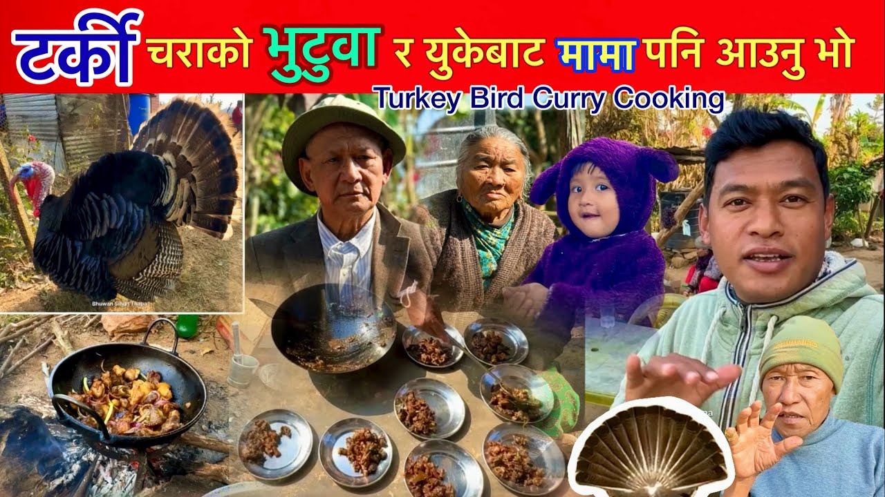 ८ किलो टर्की चराको भुटुवा र युकेबाट मामा नि आईपुग्नु संयोग / Turkey Bird Curry / Bhuwan Singh Thapa смотреть онлайн