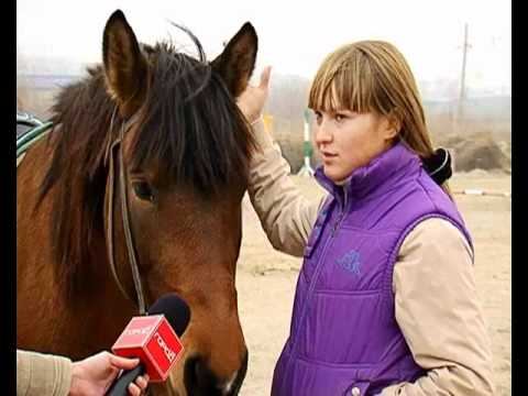 Иппотерапия смотреть онлайн