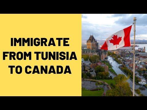 Move From Tunisia To Canada With Guided Steps + Work Permit Types | 2022 смотреть онлайн