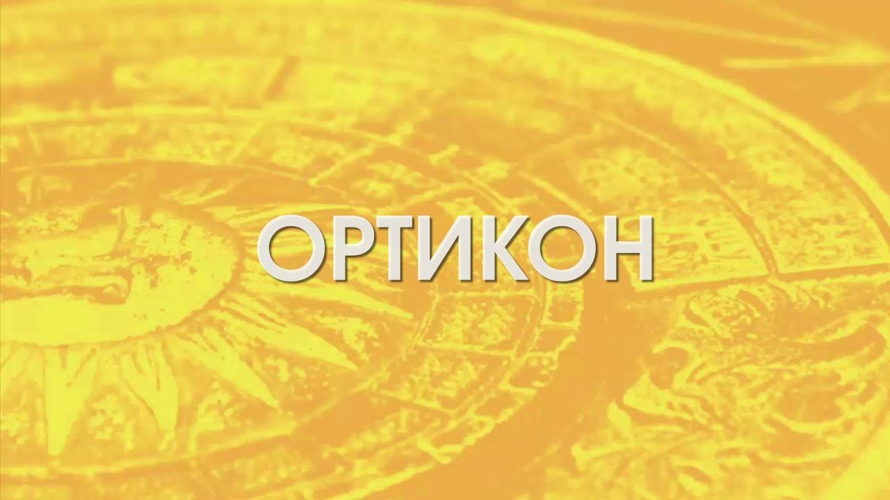 Краткая презентация Ортикон НБКИ