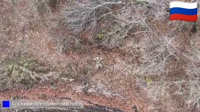 Трёх ВСУшников вывели с позиций через сброшенную с дрона рацию