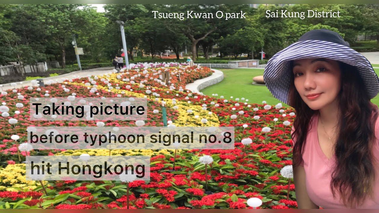 The last game before typhoon 8 hit Hongkong #thunderstorm #beautifulflowers #hongkongpark смотреть онлайн