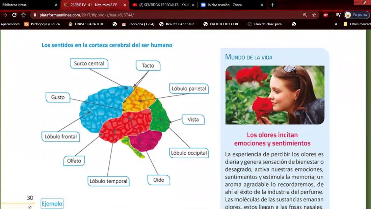 SENTIDOS ESPECIALES OCTAVO смотреть онлайн