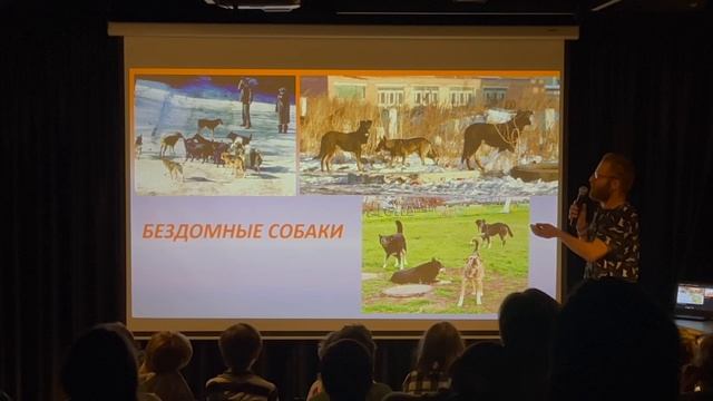 Волк собаке - друг? смотреть онлайн
