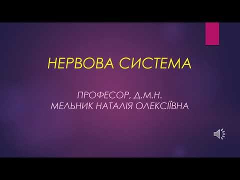 НЕРВОВА СИСТЕМА смотреть онлайн